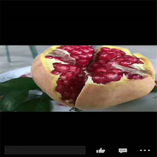摘下来的石榴怎样存放?冷藏库存放石榴最佳多少温度-图2 摘下来的石榴怎样存放?冷藏库存放石榴最佳多少温度-图2