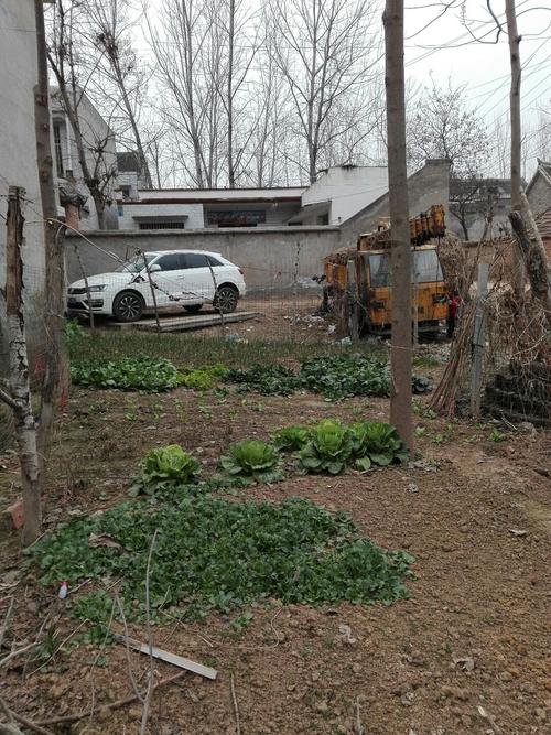 周口地区管辖多少个县?淮阳郑集乡多少个自然村-图1 周口地区管辖多少个县?淮阳郑集乡多少个自然村-图1