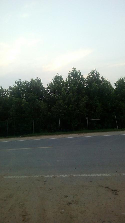 周口地区管辖多少个县?淮阳郑集乡多少个自然村-图3 周口地区管辖多少个县?淮阳郑集乡多少个自然村-图3
