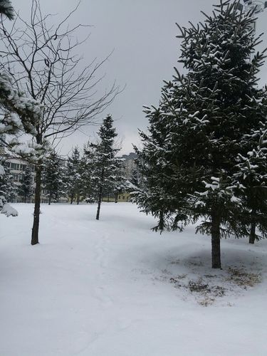 2021吉林省白山市中小学暑假?白山市气温多少度-图3 2021吉林省白山市中小学暑假?白山市气温多少度-图3