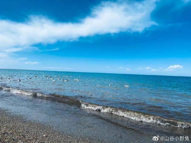 12月可以去青海湖吗?青海湖明天的气温是多少-图1 12月可以去青海湖吗?青海湖明天的气温是多少-图1