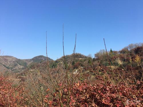 栖霞区海拔多少米?栖霞纬度是多少-图3 栖霞区海拔多少米?栖霞纬度是多少-图3