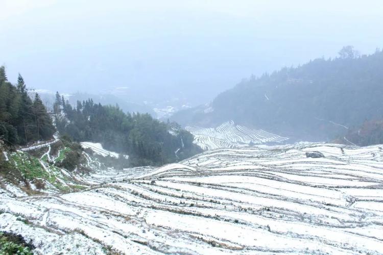 广西的冬天有什么特点?广西南丹冬天气温多少度-图3 广西的冬天有什么特点?广西南丹冬天气温多少度-图3