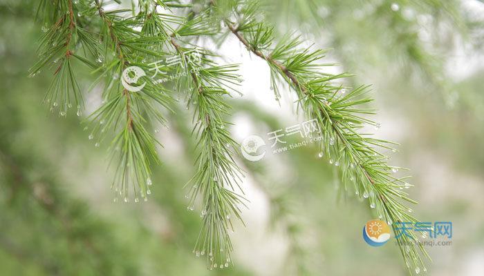 我想知道今年下半年的雨水多吗?问一下今年下半年雨量多少-图2 我想知道今年下半年的雨水多吗?问一下今年下半年雨量多少-图2