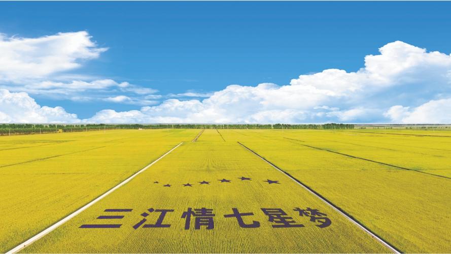 黑龙江省前进农场多大?佳木斯到浓江农场多少公里-图2 黑龙江省前进农场多大?佳木斯到浓江农场多少公里-图2