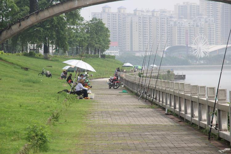 泸州江边哪里可以钓鱼?四川省泸州市太伏邮政编码是多少-图2 泸州江边哪里可以钓鱼?四川省泸州市太伏邮政编码是多少-图2