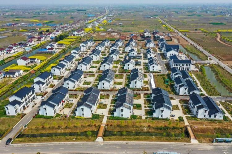 为什么叫特庸?射阳特庸房价是多少-图3 为什么叫特庸?射阳特庸房价是多少-图3