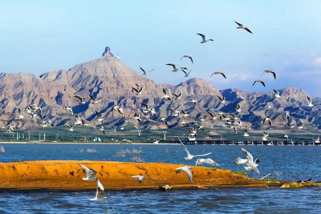 乌海的海拔是多少?乌海市的海拔高度多少-图2 乌海的海拔是多少?乌海市的海拔高度多少-图2