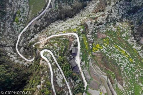 南川金山镇海拔高度?到南川金山镇多少公里-图1 南川金山镇海拔高度?到南川金山镇多少公里-图1
