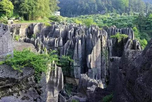 石柱的哪个地方最好耍？石柱到鱼池有多少公里-图1