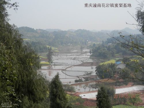 潼南镇有哪些镇?潼南花岩镇多少人-图1 潼南镇有哪些镇?潼南花岩镇多少人-图1