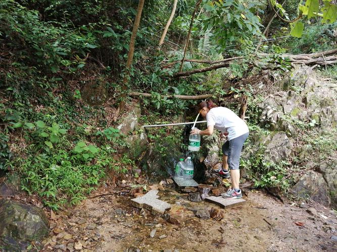 龙岩市区哪里能装山泉水?龙岩到白沙打的多少钱-图1 龙岩市区哪里能装山泉水?龙岩到白沙打的多少钱-图1