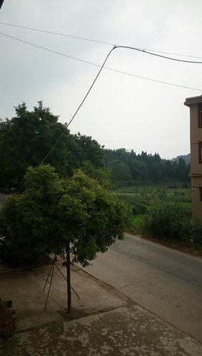 遂宁市安居区拦江镇最便宜的房价是多少?拦江镇房价查询多少钱平方-图2 遂宁市安居区拦江镇最便宜的房价是多少?拦江镇房价查询多少钱平方-图2