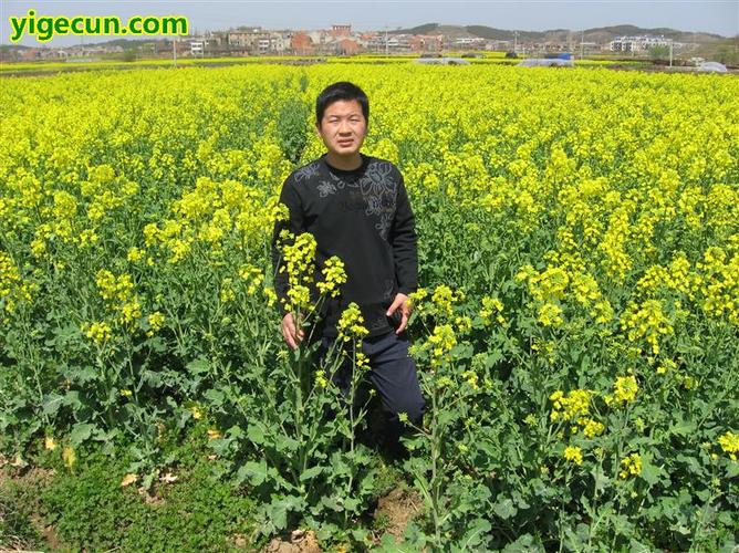 广水市属于哪个省?广水关庙镇人口多少-图1 广水市属于哪个省?广水关庙镇人口多少-图1