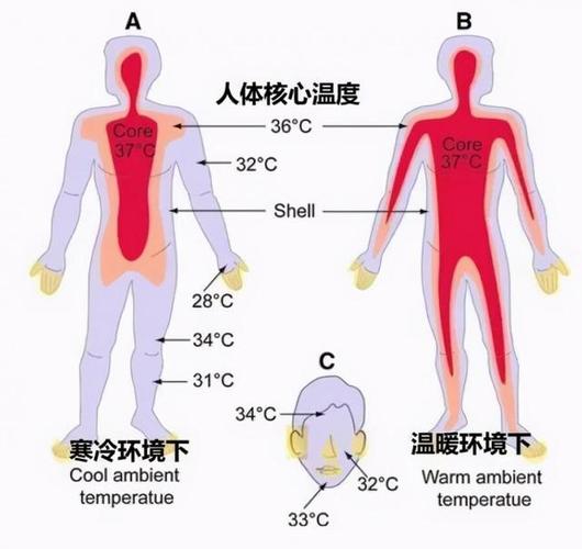 远古人类体温是多少?非洲正常体温多少度-图2 远古人类体温是多少?非洲正常体温多少度-图2