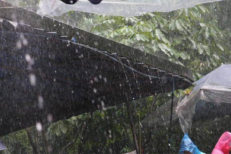 什么雨威力最大?世界上最大的雨是多少毫米-图2 什么雨威力最大?世界上最大的雨是多少毫米-图2