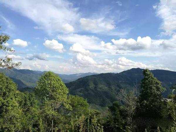 西双版纳有几个县？大渡岗现在气温多少度-图1