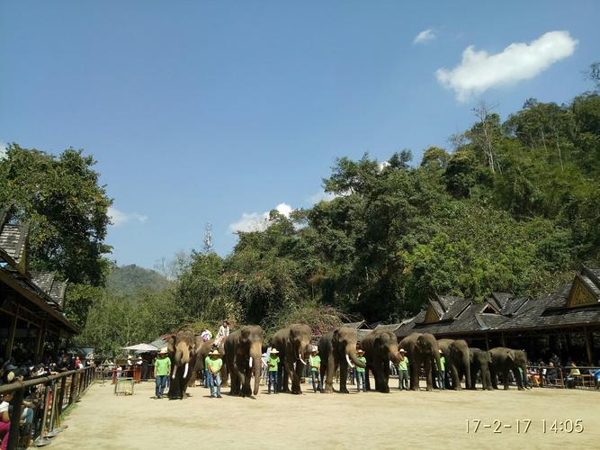 大渡岗旅游景点?景洪大渡岗今天气温多少度-图2 大渡岗旅游景点?景洪大渡岗今天气温多少度-图2