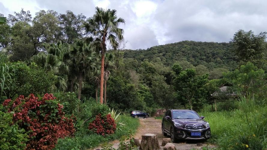 大渡岗旅游景点?景洪大渡岗今天气温多少度-图3 大渡岗旅游景点?景洪大渡岗今天气温多少度-图3