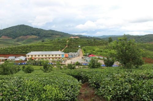 勐海县十大茶厂排名?景洪大渡岗现在气温多少度-图3 勐海县十大茶厂排名?景洪大渡岗现在气温多少度-图3