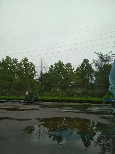 安丘属于鲁东还是鲁中?山东安丘夏天天气最高温度是多少-图3 安丘属于鲁东还是鲁中?山东安丘夏天天气最高温度是多少-图3