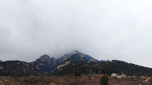 泰山雾气几点能散开?岱山全年气温最高多少-图2 泰山雾气几点能散开?岱山全年气温最高多少-图2
