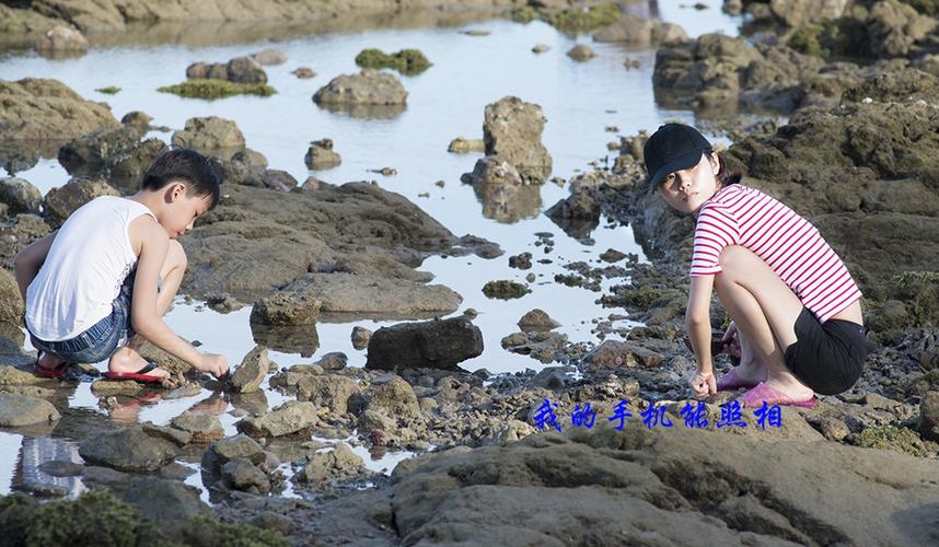 宝安哪里可以赶海?宝安区明天多少度天气预报-图1 宝安哪里可以赶海?宝安区明天多少度天气预报-图1