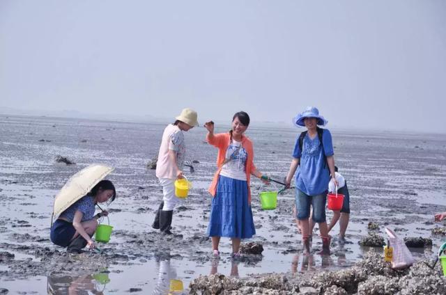 宝安哪里可以赶海?宝安区明天多少度天气预报-图2 宝安哪里可以赶海?宝安区明天多少度天气预报-图2