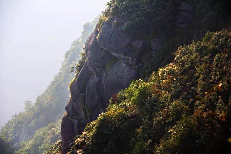 福建最高山脉排名?泰宁具到大龙乡多少公里-图3 福建最高山脉排名?泰宁具到大龙乡多少公里-图3