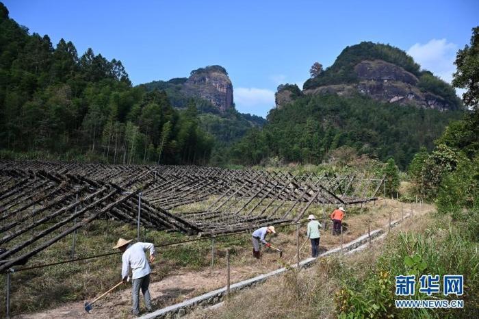 福建省三明市泰宁县下渠乡新田村里新田邮编是什么？泰宁至下渠乡多少公里-图1