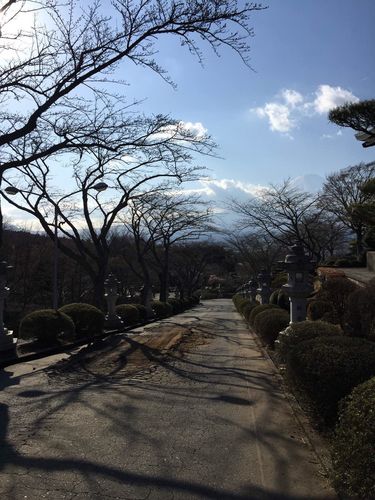 名古屋七月有雪吗?日本名古屋温度多少-图3 名古屋七月有雪吗?日本名古屋温度多少-图3