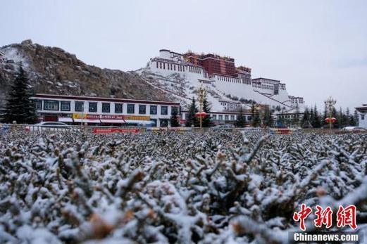 西藏拉萨市海拔有多高?2020拉萨最高温度是多少-图3 西藏拉萨市海拔有多高?2020拉萨最高温度是多少-图3