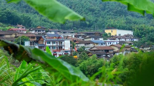 漳州华安高石旅游攻略?华安县新圩到仙都多少公里-图1 漳州华安高石旅游攻略?华安县新圩到仙都多少公里-图1
