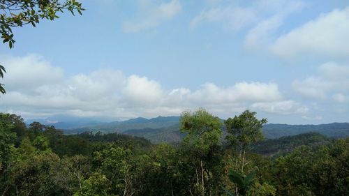 西湘版纳海拔?勐海县市区海拔多少米-图1 西湘版纳海拔?勐海县市区海拔多少米-图1