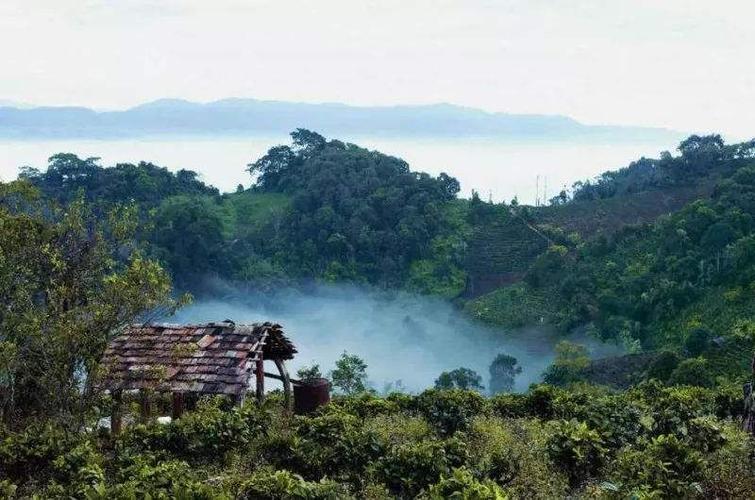 滑竹梁子是易武茶区吗?勐海县最高海拔是多少米-图2 滑竹梁子是易武茶区吗?勐海县最高海拔是多少米-图2