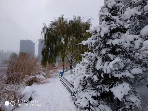 1998年北方冬天的雪大吗?98年最低温度是多少-图3 1998年北方冬天的雪大吗?98年最低温度是多少-图3