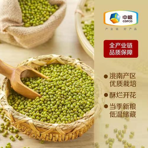 绿豆品种排名?洮南最低温度是多少-图3 绿豆品种排名?洮南最低温度是多少-图3