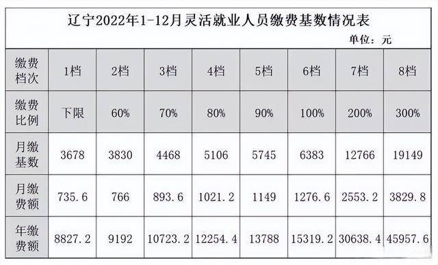 2015年宁夏中卫市灵活就业社保缴费标准?在中卫找个八月的工资是多少-图1 2015年宁夏中卫市灵活就业社保缴费标准?在中卫找个八月的工资是多少-图1