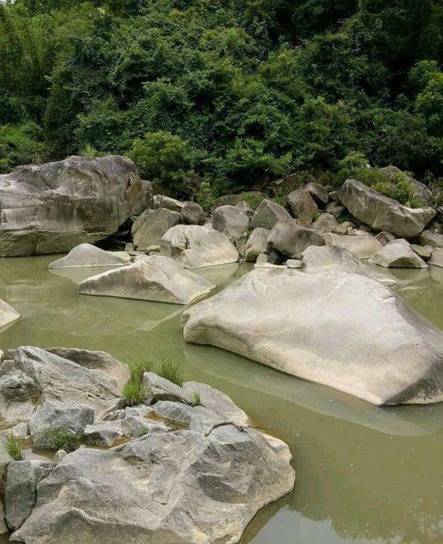 龙岩哪里石头多?漳平市新桥镇海拔高度是多少-图3 龙岩哪里石头多?漳平市新桥镇海拔高度是多少-图3