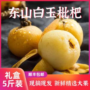 白玉枇杷几月成熟?白玉多少一个月-图3 白玉枇杷几月成熟?白玉多少一个月-图3