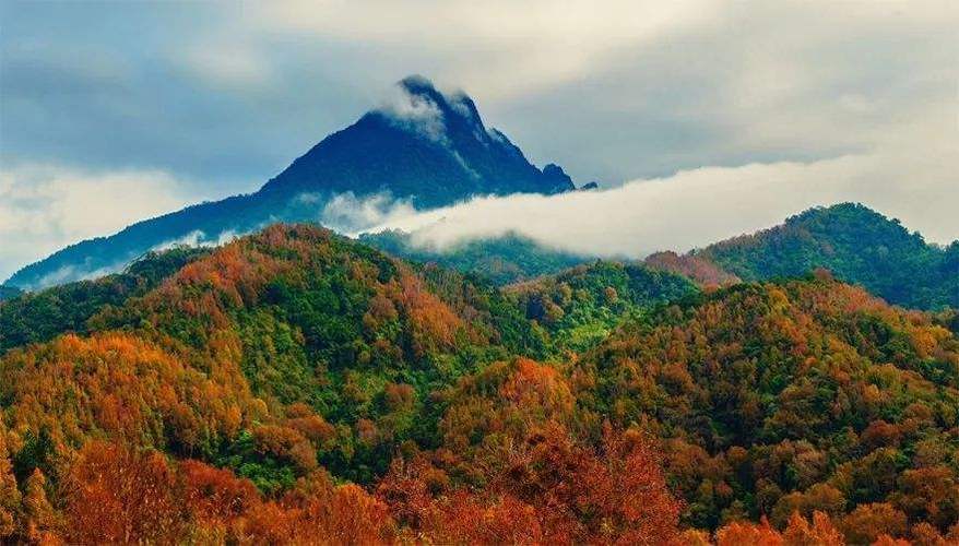 五指山一年中各个月份的气温?五指山明天多少温度-图1 五指山一年中各个月份的气温?五指山明天多少温度-图1