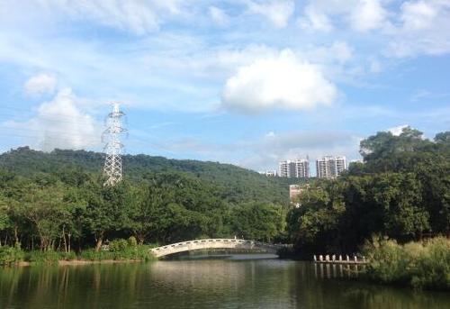 罗湖有哪些地方好玩的?罗湖多少度-图1 罗湖有哪些地方好玩的?罗湖多少度-图1