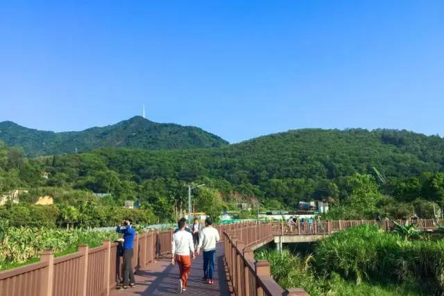 深圳东湖绿道开放了吗?深圳罗湖区气温多少-图1 深圳东湖绿道开放了吗?深圳罗湖区气温多少-图1