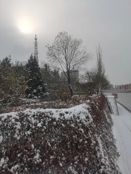 8月30号河北张家口下雪了吗?今张家口多少度-图2 8月30号河北张家口下雪了吗?今张家口多少度-图2
