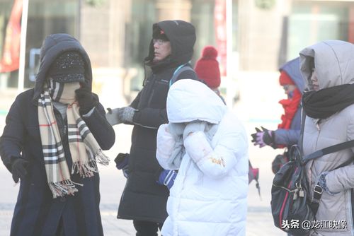 请教今年2月份过年的时候去杭州,穿什么衣服啊,北方人不知道受不受得了南方的天气啊?今年杭州2月份的天气温度是多少-图2 请教今年2月份过年的时候去杭州,穿什么衣服啊,北方人不知道受不受得了南方的天气啊?今年杭州2月份的天气温度是多少-图2