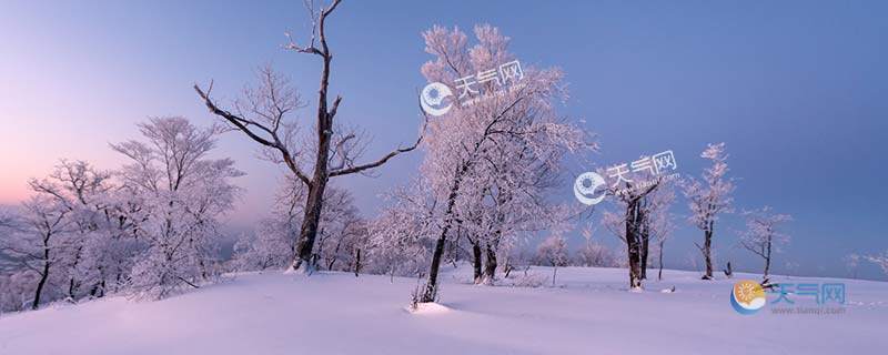 2021年三九天最冷多少度?中国今天最冷的是多少度-图1 2021年三九天最冷多少度?中国今天最冷的是多少度-图1