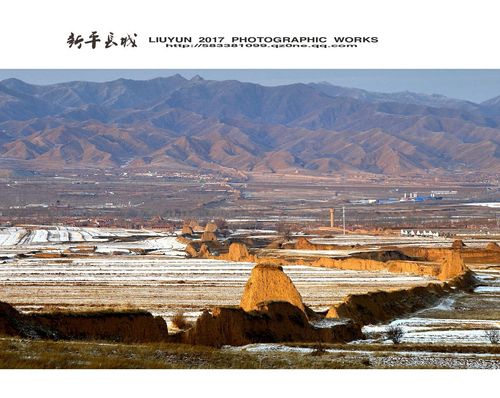 大同天镇县十大特产?大同市天镇县是多少度带-图3 大同天镇县十大特产?大同市天镇县是多少度带-图3