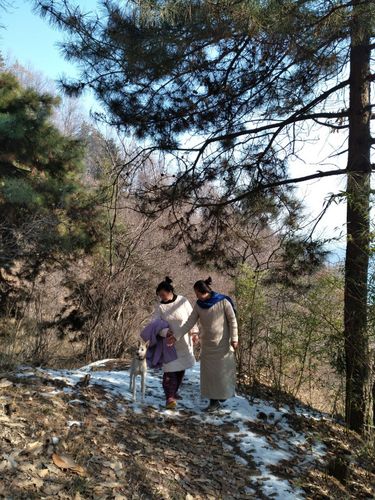 想在黑龙江一带找一处山野山林过隐居生活,有合适的地方吗?黑龙江省海林市供热标准温度是多少-图2 想在黑龙江一带找一处山野山林过隐居生活,有合适的地方吗?黑龙江省海林市供热标准温度是多少-图2