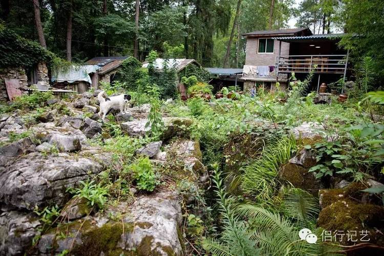 想在黑龙江一带找一处山野山林过隐居生活,有合适的地方吗?黑龙江省海林市供热标准温度是多少-图1 想在黑龙江一带找一处山野山林过隐居生活,有合适的地方吗?黑龙江省海林市供热标准温度是多少-图1