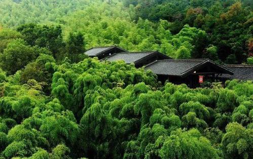 想在黑龙江一带找一处山野山林过隐居生活,有合适的地方吗?黑龙江省海林市供热标准温度是多少-图3 想在黑龙江一带找一处山野山林过隐居生活,有合适的地方吗?黑龙江省海林市供热标准温度是多少-图3